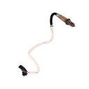SENSOR DE OXÍGENO RENAULT CLIO 2005-2014, DUSTER 2011-2018, KANGOO 2008, MEGANE 2008-2017